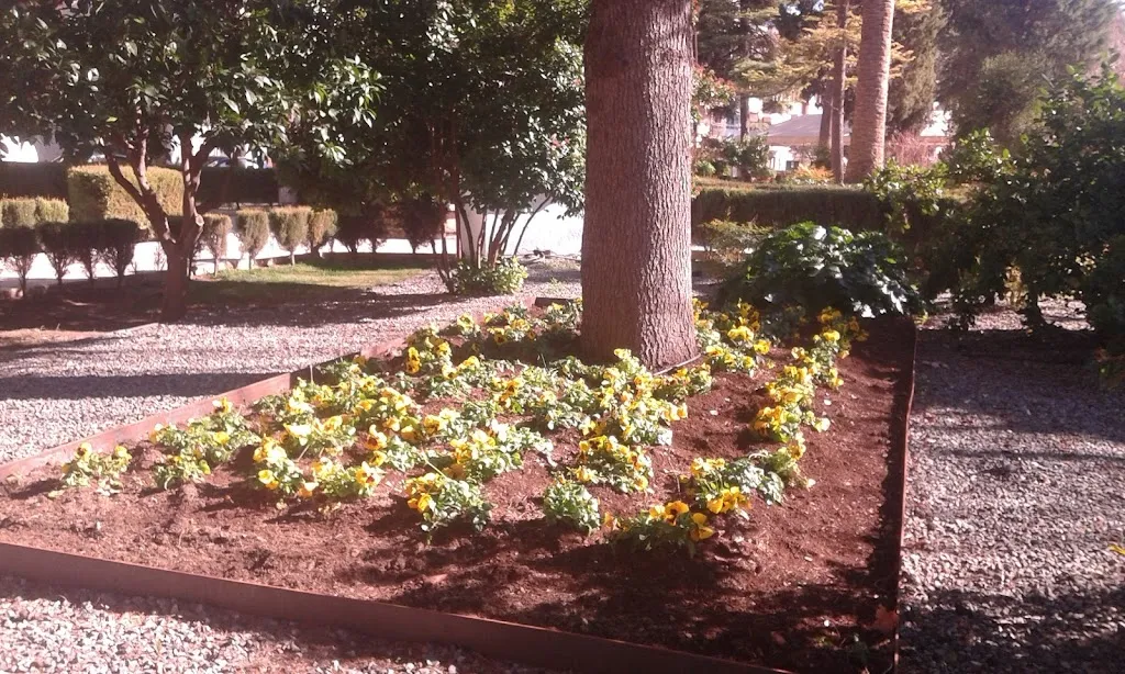 Terraza chill out VALPARAÍSO_Beas de Segura_slider_image_2