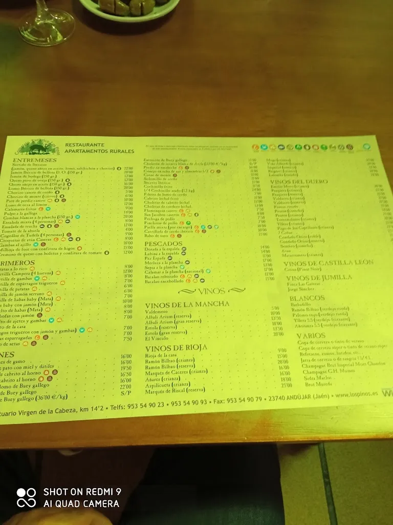 Menu_Restaurante los Pinos_Andújar_image_4