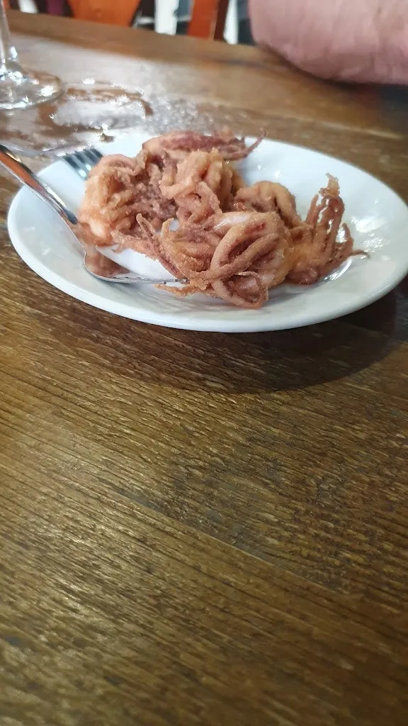 Hanneke R_Resto Bar Centro_Andújar_avis