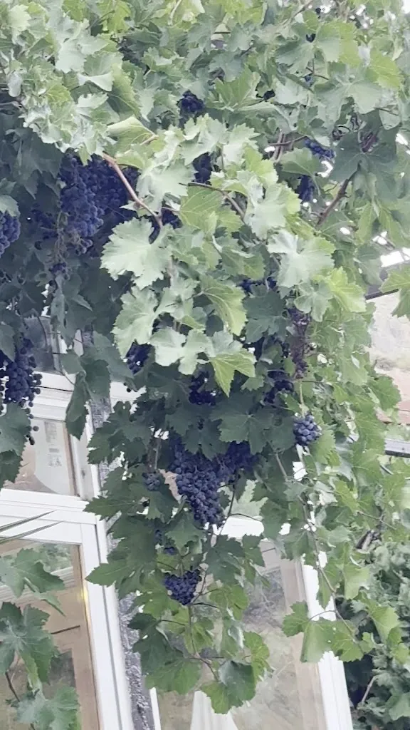 Mamunur Rashid_Hotel Restaurante El Oasis_Cárcheles_review