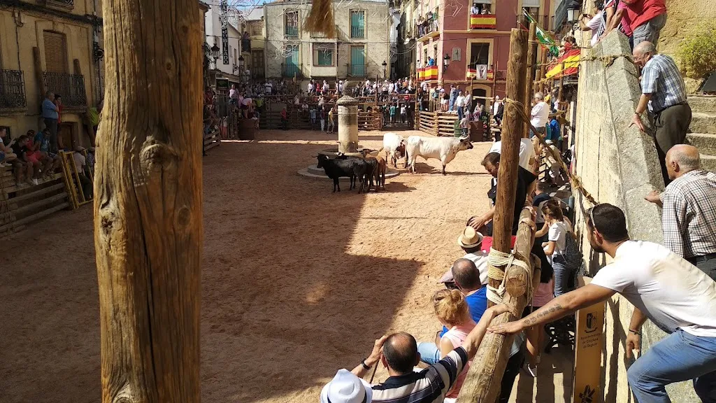 Javier Calvo_Restaurante bar casa Paco_Chiclana de Segura_review