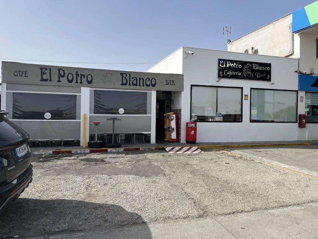 Potro Blanco_Carolina La_slider_image_1