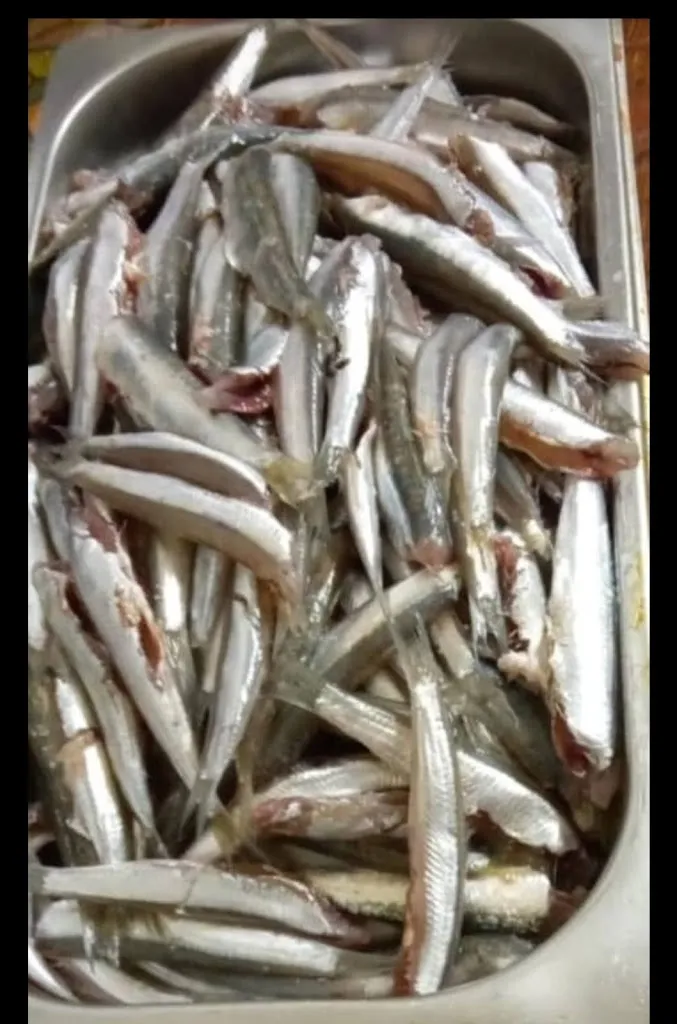 Menu_Taberna El Fogón_Carolina La_image_6