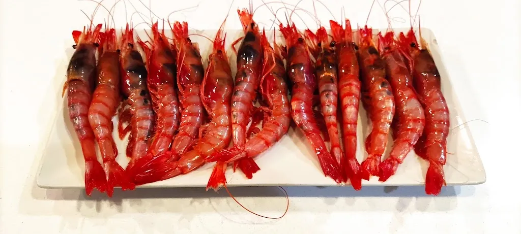 La Galeria_Carolina La_slider_image_3