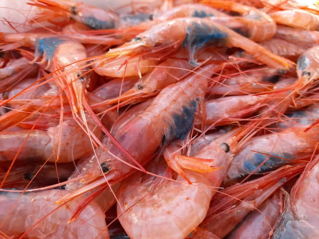 Menu_Cafeteria-restaurant El Trenet_Castalla_image_4