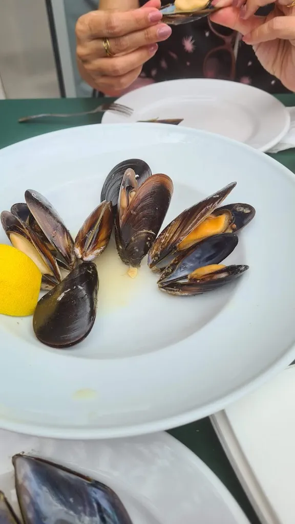 Menu_Cafeteria-restaurant El Trenet_Castalla_image_6