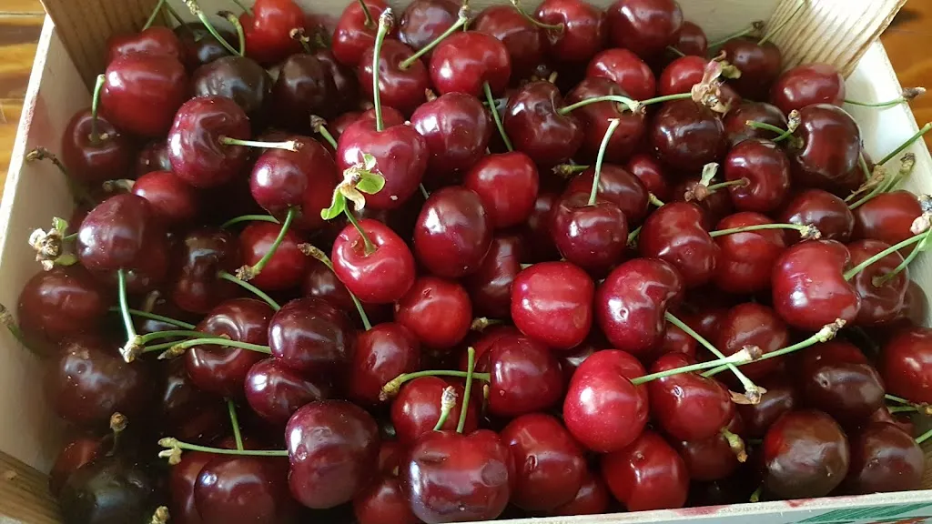 Menu_Mesón El Tropezón_Castillo de Locubín_image_4