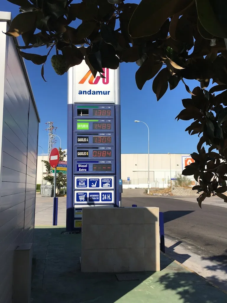 John A Pavlik_Restaurante Andamur Guarromán_Guarromán_review