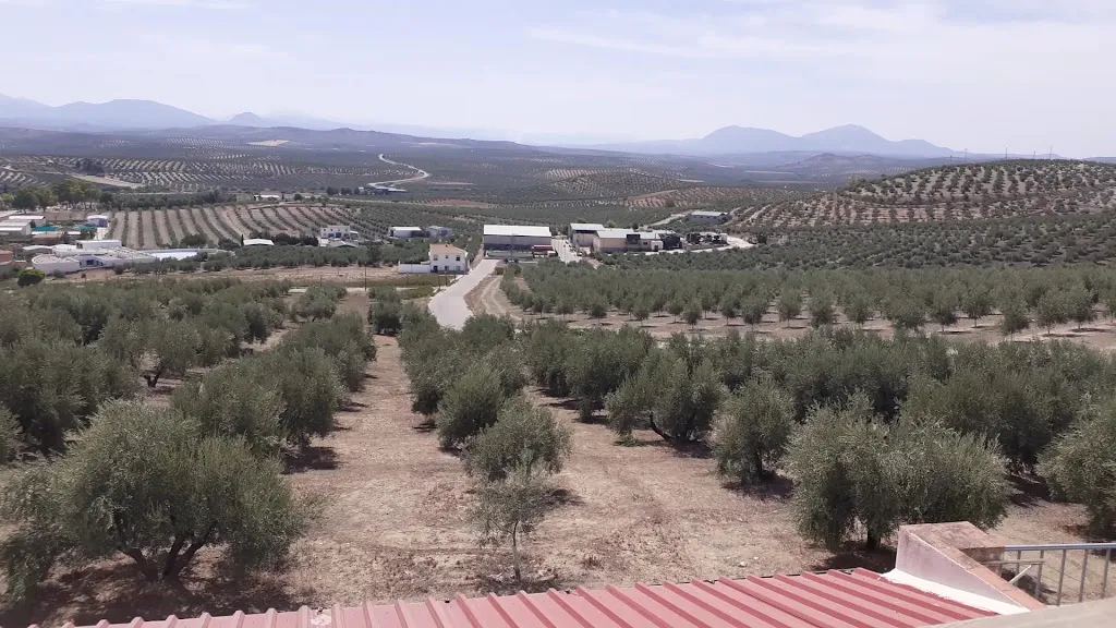 Café Bar El Rincón_Higuera de Calatrava_slider_image_3