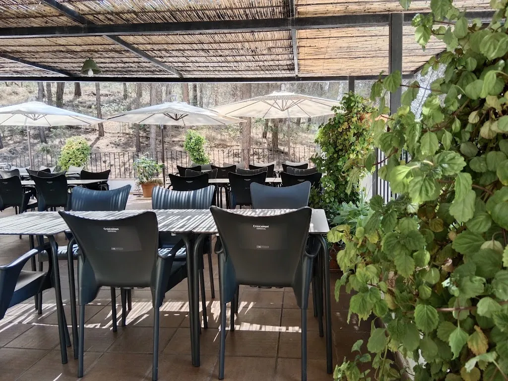 Restaurante Las Celadillas restaurant in Hornos