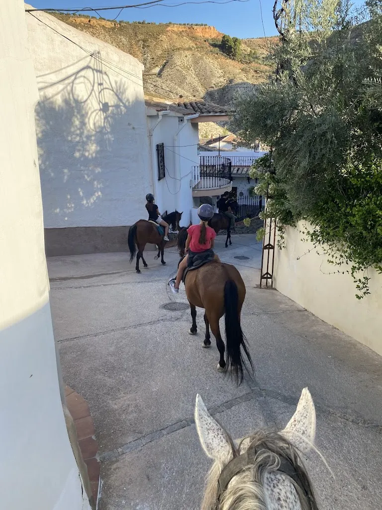 Centro Ecuestre CazorlAvatur_Hinojares_slider_image_3