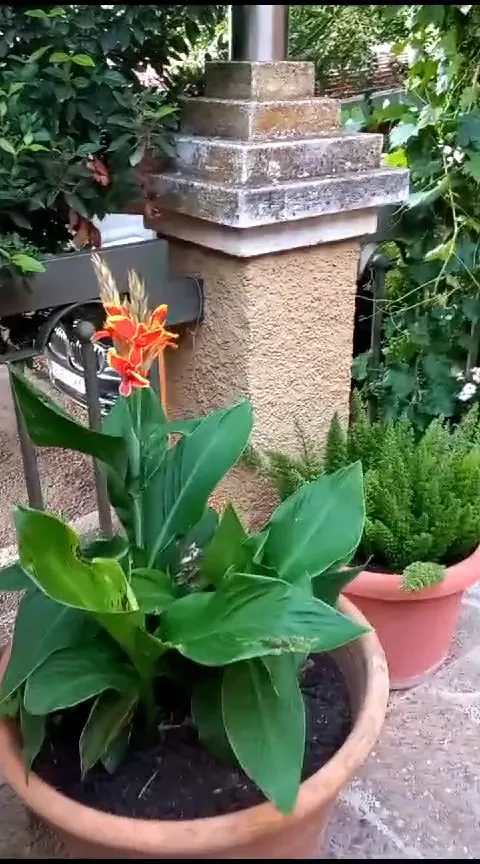 Hotel - Restaurante Sierra de Segura_Puente de Génave_slider_image_2