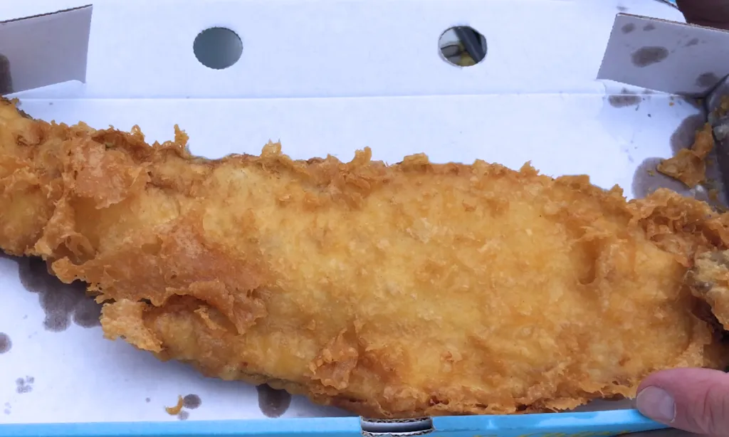 Stephen Peel_Quesada Fish and Chips_Quesada_review