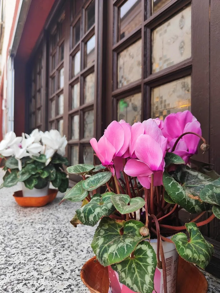 Elena Marqués_Return Café-Bar_Sorihuela del Guadalimar_review