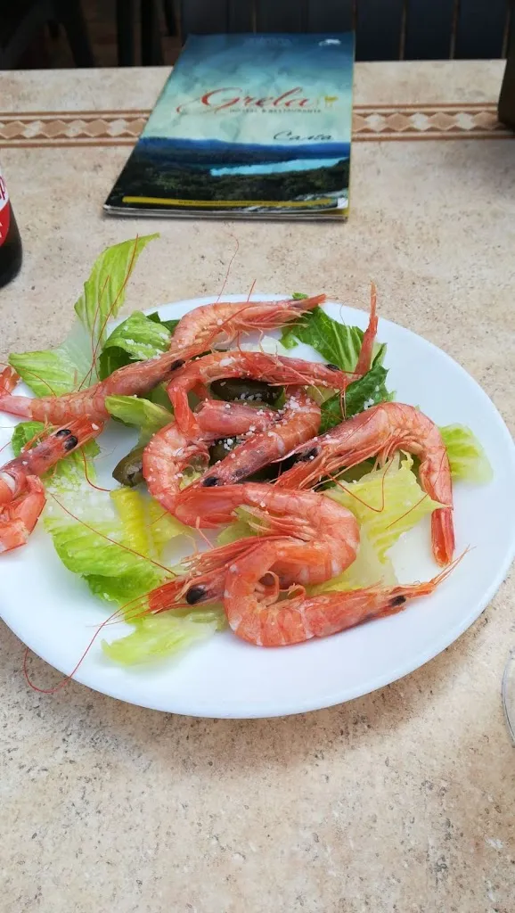 HOSTAL RESTAURANTE GRELA_Pozo Alcón_slider_image_2