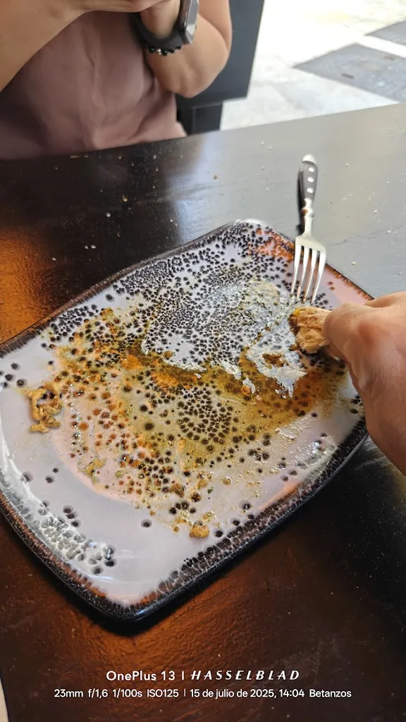 Manuel Fernández_Xanela_Betanzos_review