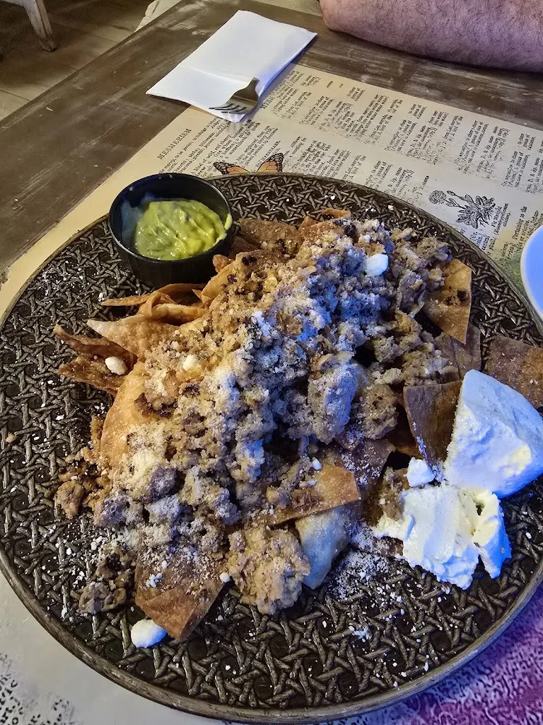 fatima sola_El Rincón De Frida_Villacarrillo_review