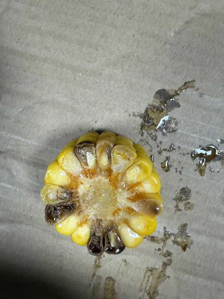 yy S_Restaurante 小毛头麻辣烫_Dolores_review