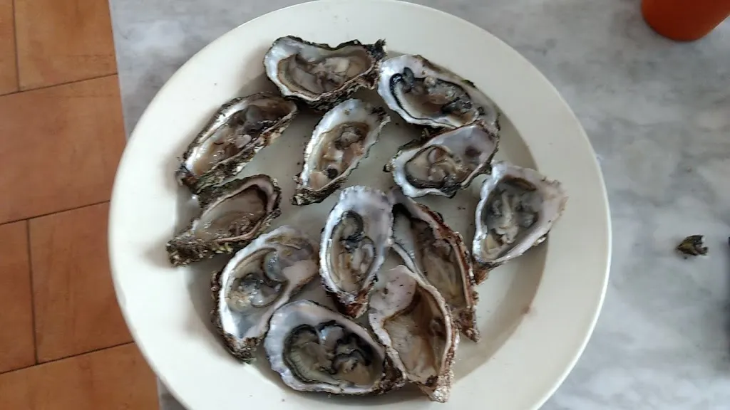 Menu_Bar La Plaza_Aguilar del Río Alhama_immagine_5