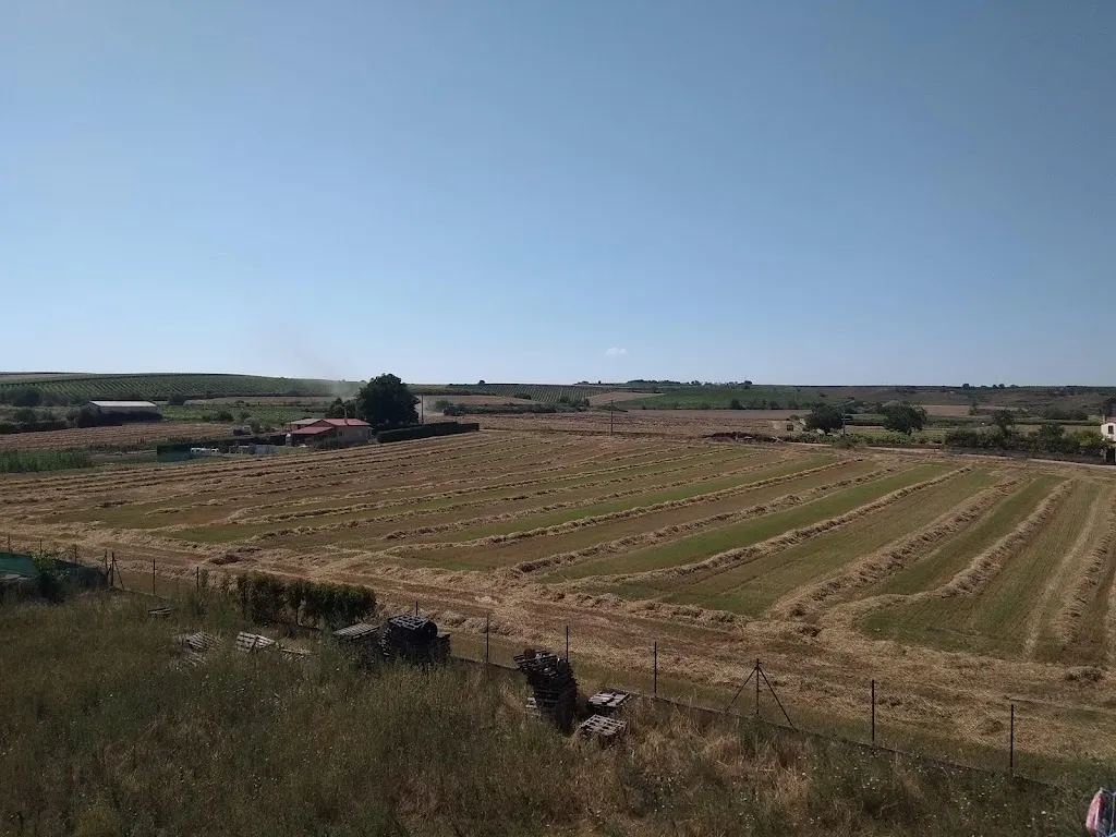 Bar - Cafetería, Piscinas Municipales de Alesanco_Alesanco_slider_image_1