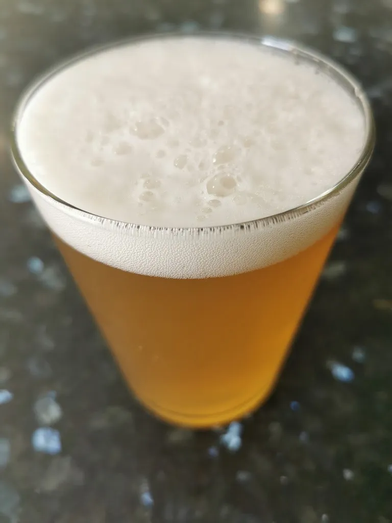 Menu_Restaurante Camino de Santiago Bar Sevilla_Alesanco_image_8