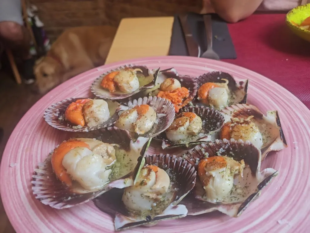 Bar La Huella_Arnedillo_slider_image_2