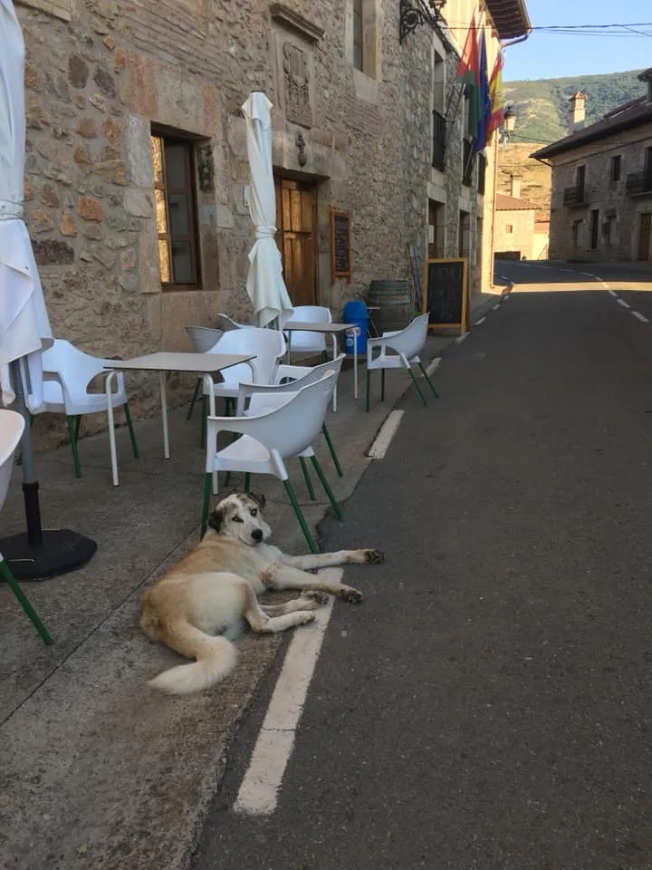 Lis Petersson_Hostal Restaurante Taberna La Villa_Canales de la Sierra_review