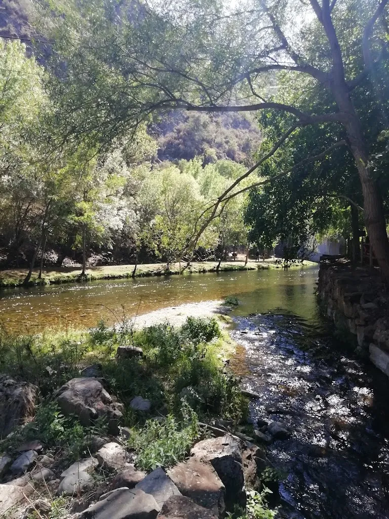 angela fernandez pacha_Bar de Mansilla_Canales de la Sierra_recensione