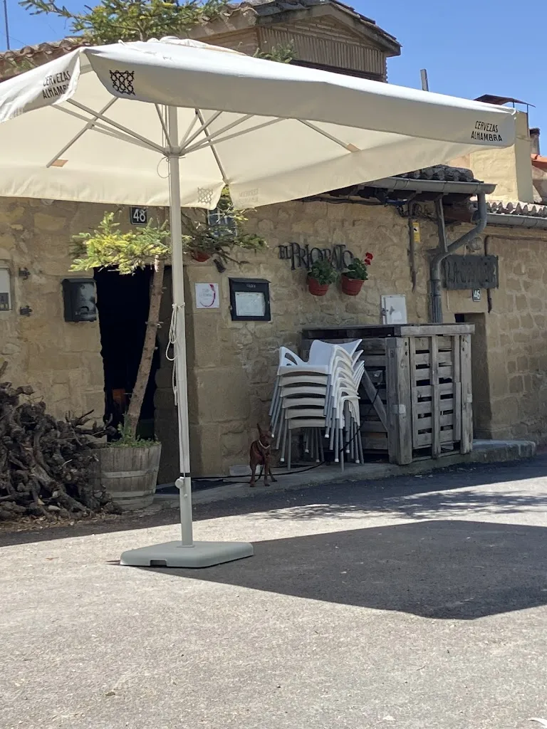 Radu Ene_ASADOR EL PRIORATO_Cellorigo_review