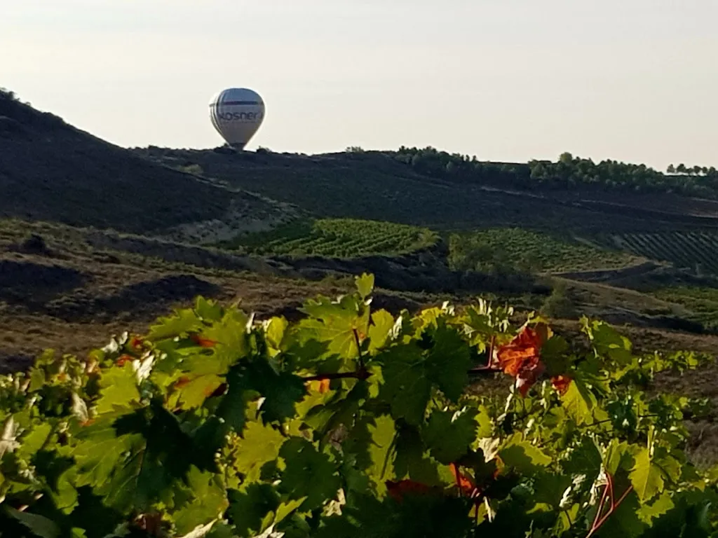 Hogar Del Jubilado_Cenicero_slider_image_2