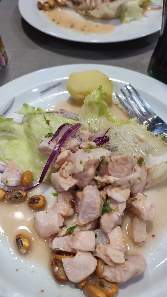 Easy Carvics_Restaurate Peruano Enciso Gastrobar_Enciso_review