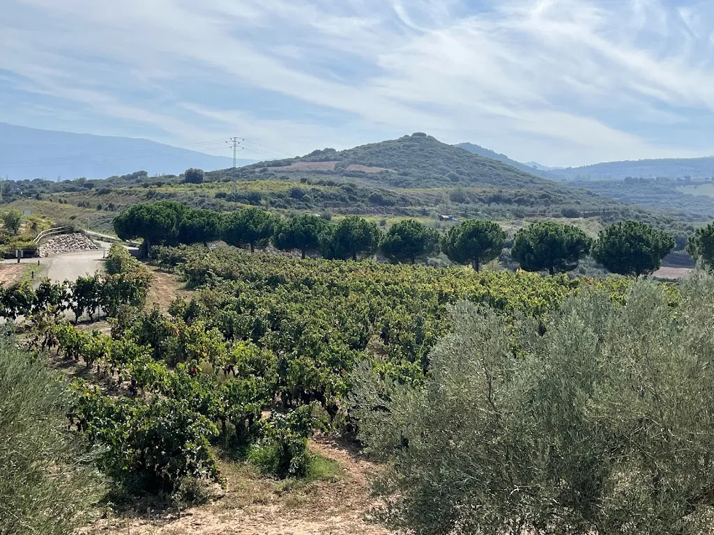 Elizabeth Sanchez_Finca de los Arandinos Bodega | Hotel_Entrena_Bewertung
