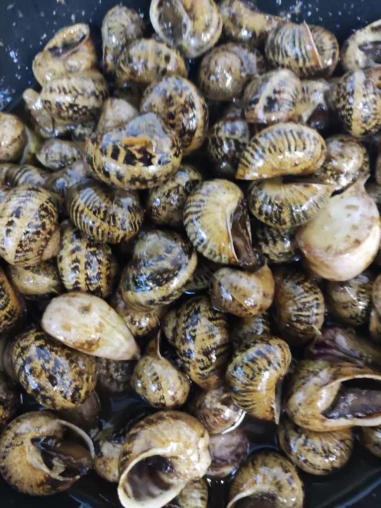 Menu_Bar 8 A_Arnedo_image_1