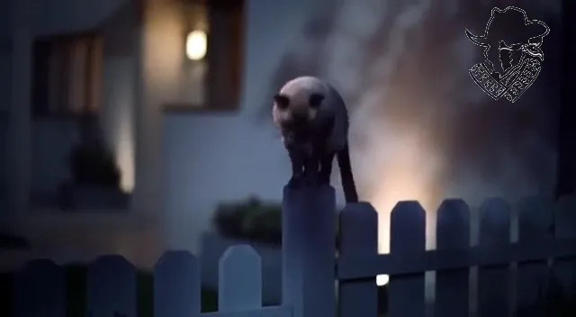 Café Venecia Huercanos Bar_Huércanos_slider_image_2