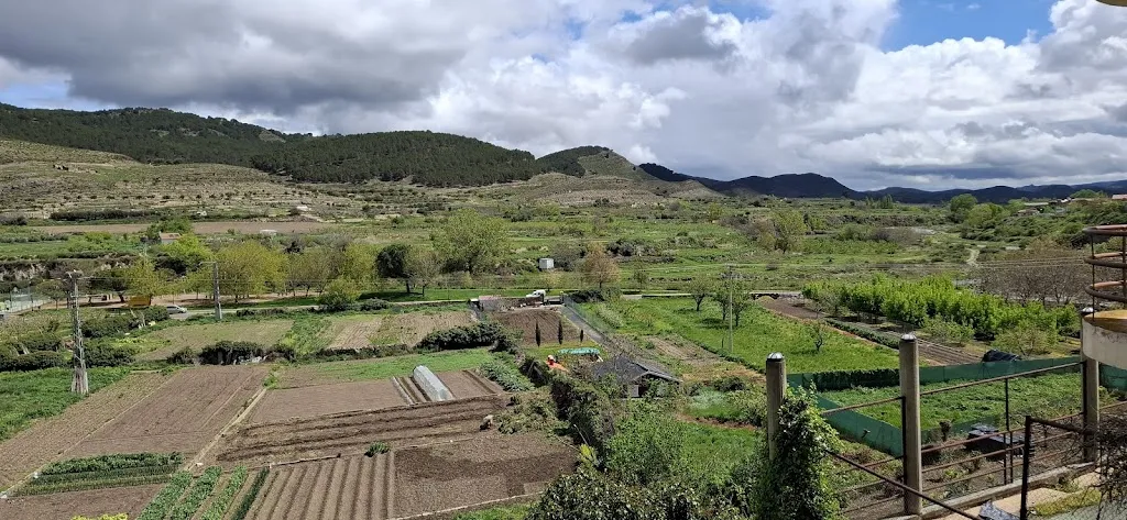 Bar Restaurante Avenida_Igea_slider_image_3