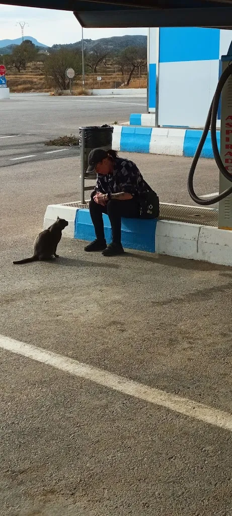 Marcus Wilkinson_Restaurante El Descanso, Las cabañas_Lumbreras_review