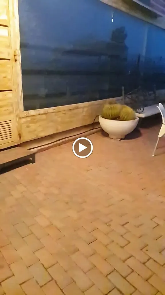 Restaurante El Descanso, Las cabañas_Lumbreras_slider_image_2