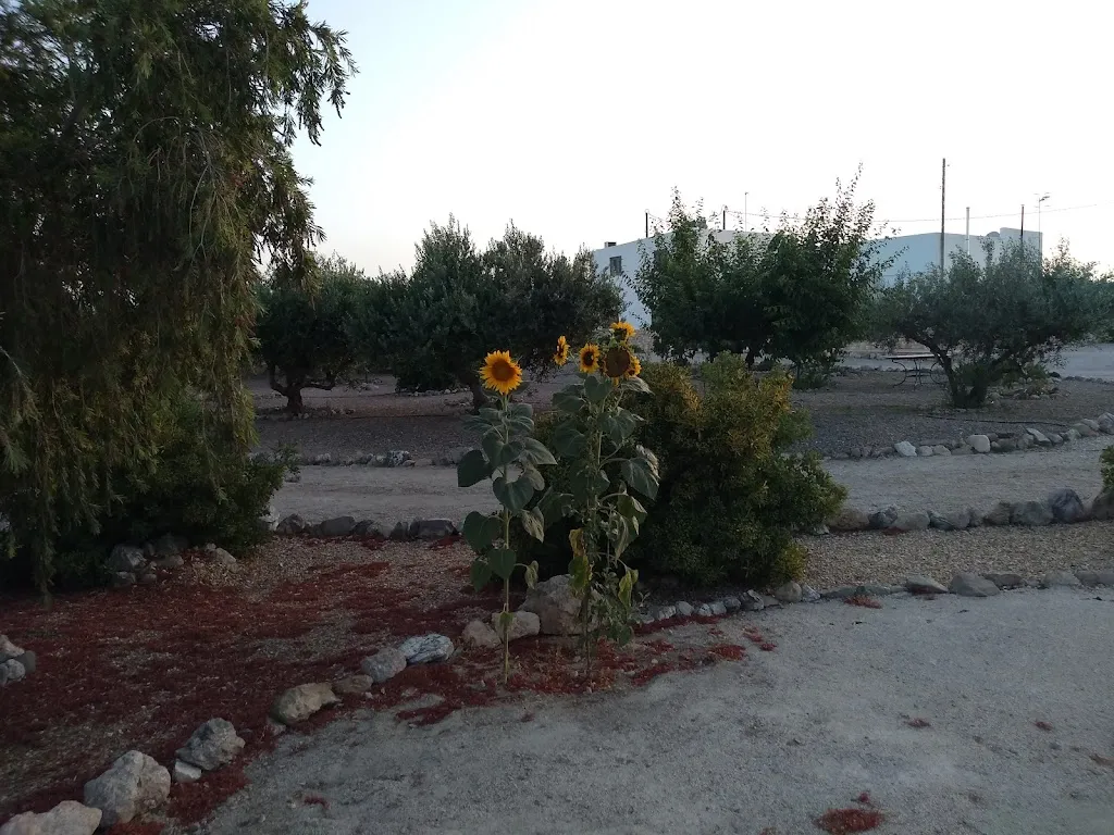 Sue Ingram_Casa Lumbreras_Lumbreras_review