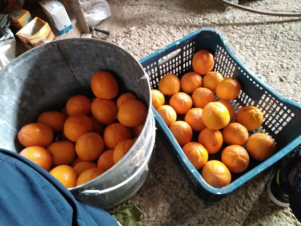 Menu_Cafe Bar Los Pelayos_Ribafrecha_image_4