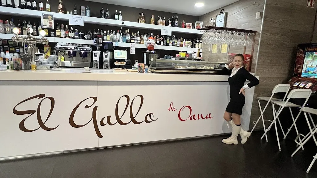 Bar Gallo de Oana_Pradejón_slider_image_3