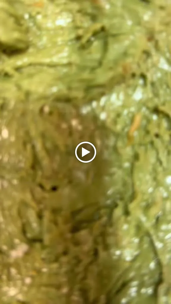 Chorrrreo_Crevillent_slider_image_2