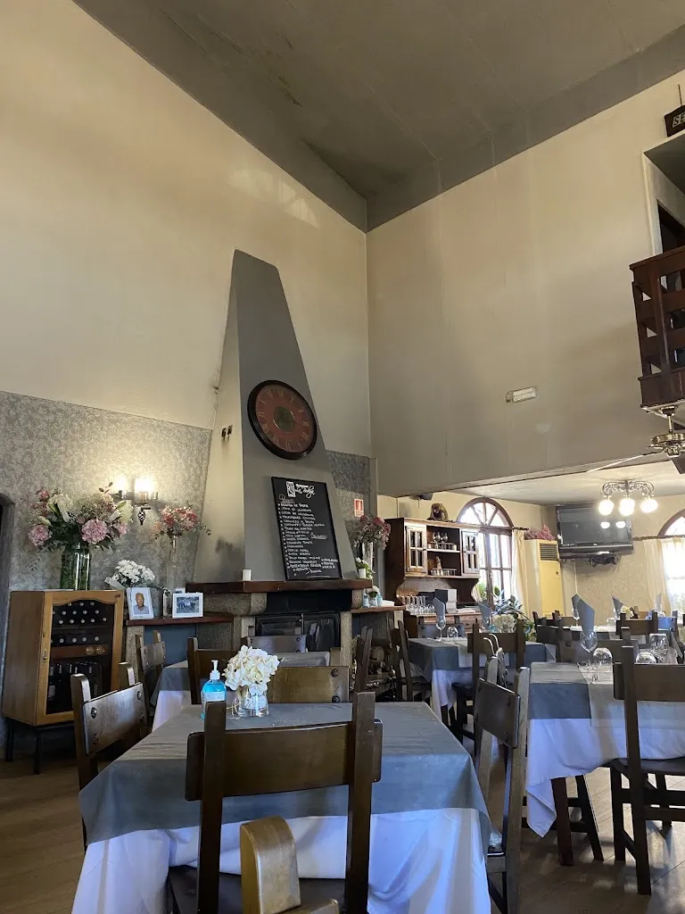 Gato Ashera_Restaurante la Bodega_San Asensio_review