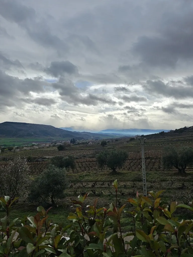 Gemma G_Bodegas Ayagar_Torremontalbo_review