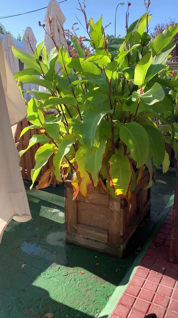 Bar Centra_Villarejo_slider_image_2