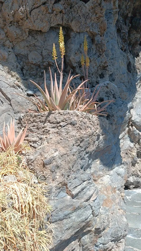 Eyrun Sigurdardottir_Restaurante La Cilla_Artenara_review