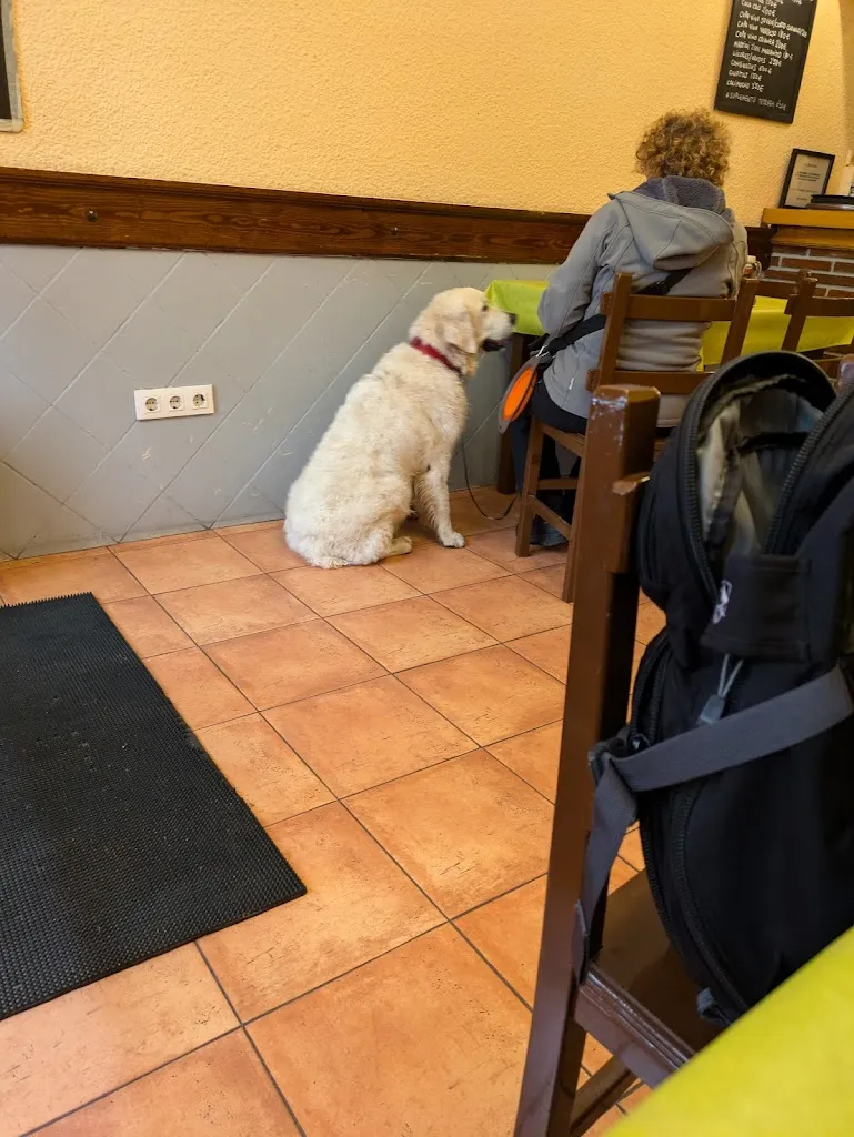 Will Balbo_Bar Restaurante Casa Amparo_Santo Domingo de la Calzada_recensione