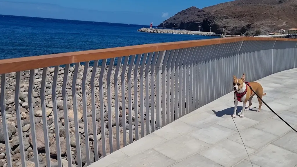 La Aldea San Nicolas_Aldea de San Nicolás La_slider_image_2