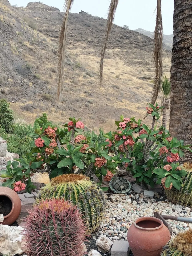 Scott Whitehouse_Restaurante Las Cañadas_Aldea de San Nicolás La_review