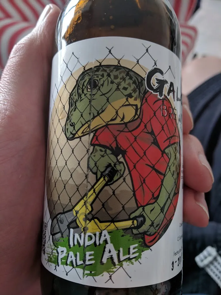 Kevin Delehanty_Aragüeme_Agüimes_review