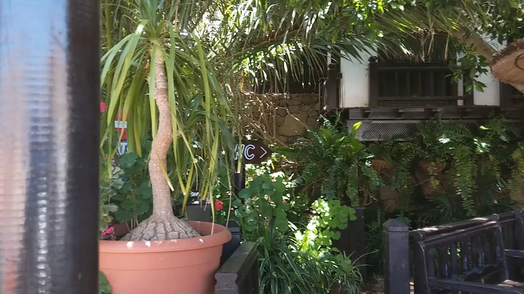 Casa Santa Maria - Restaurant_Betancuria_slider_image_2